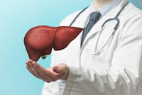 Supports Liver Function